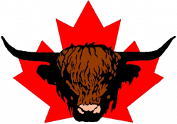 The Canadian Highland Cattle Society