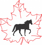 Canadian Registry of the Tennessee Walking Horse