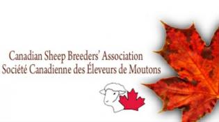 Canadian Sheep Breeders' Association