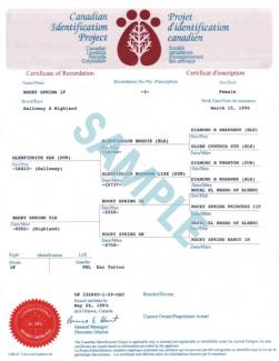 Sample Certificate